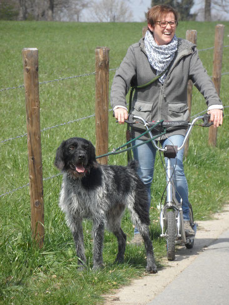 Sie wollen das Tierheim ehrenamtlich unterstützen?