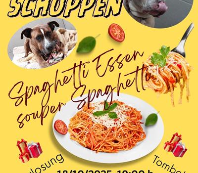 souper spaghetti - Actualités
