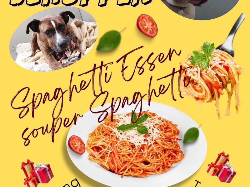 souper spaghetti - Actualités