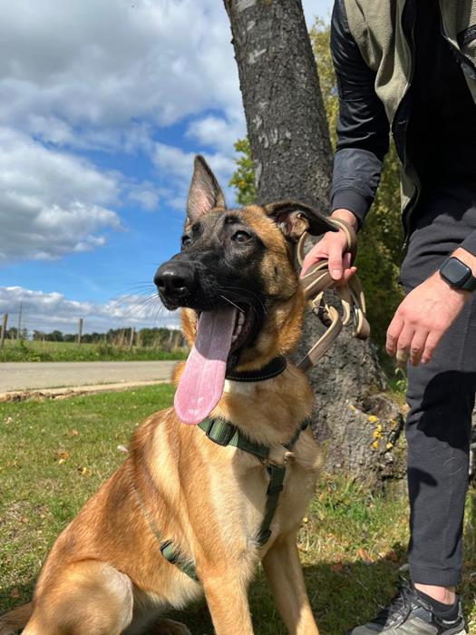Mia - Hunde