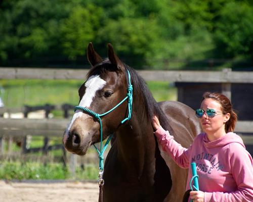 Unser Personal - Über uns